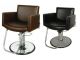 Cigno All Purpose Styling Chair  $924.00