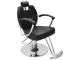 Mike All Purpose Styling Chair  $647.00