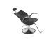 Lioness All Purpose Styling Chair  $749.00